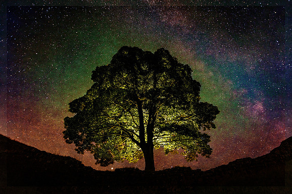 Sycamore Gap