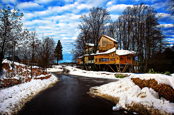 "Alnwick Treehouse in Winter"