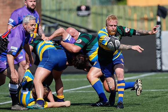 Hogs_18-05-2024_CL_1081543