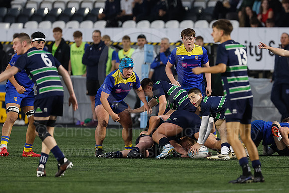Gossy v B Burton_CDL_16-10-2024_CL_1221540