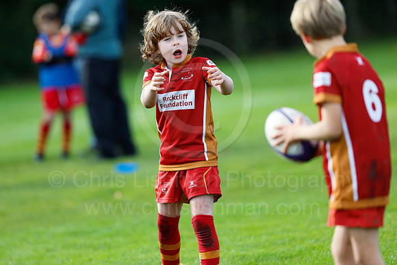 FAL_SAR_CDL_09-10-2022_CL_035226