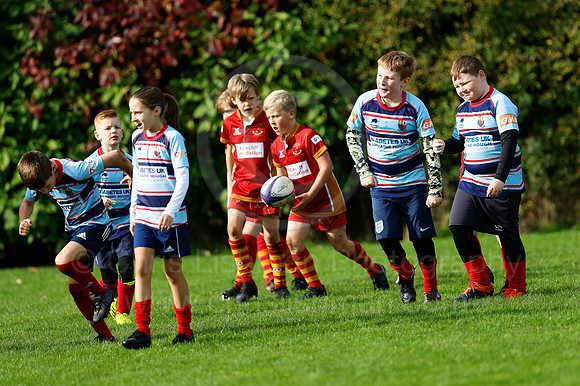 FAL_SAR_CDL_09-10-2022_CL_035110