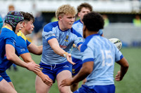 Gossy v Stourport_CDL_01-10-2025_CL_1528705