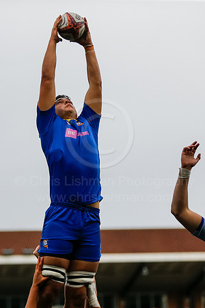 Gossy v Stourport_CDL_01-10-2025_CL_1532163