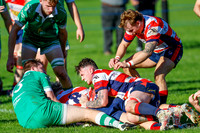 Morpeth v Wigton_010Hexham Races Oct 8th_CDL_11-10-2025_CL_1540887