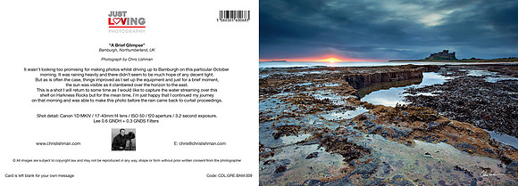 A Brief Glimpse_A5 Greeting Card_CDL.GRE.BAM.009