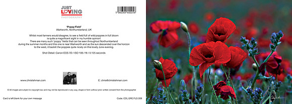 Poppy Field_A5 Greeting Card_CDL.GRE.FLO.008