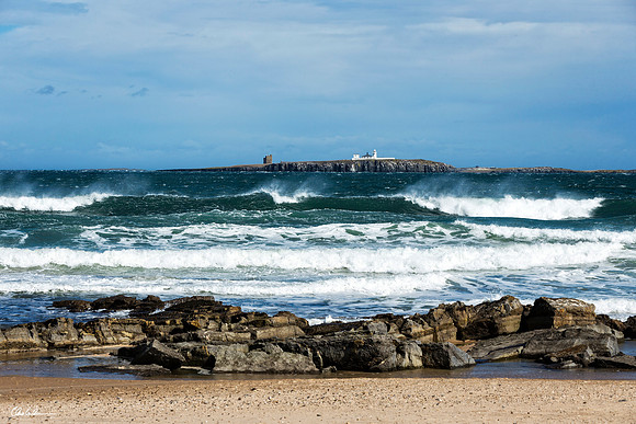 "Farne Islands"