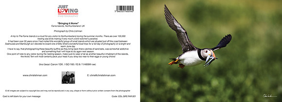 Bringing it Home_A5 Greeting Card_CDL.GRE.FAR.001