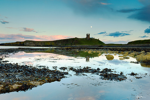 "Moon & Tide Rising"