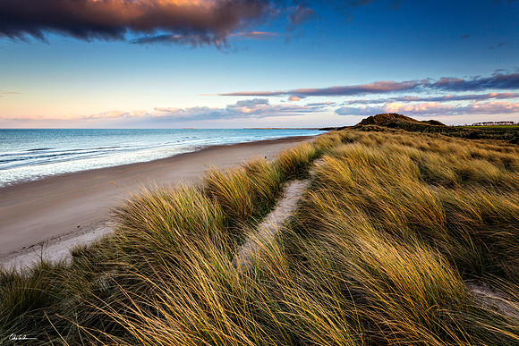 "South Beach - Alnmouth"