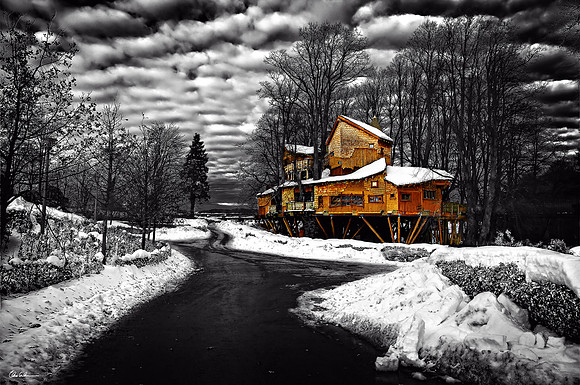 "Alnwick Treehouse in Winter - Selective Colour"
