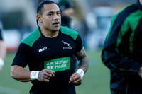 Falcons v Glos_012_LC_5479