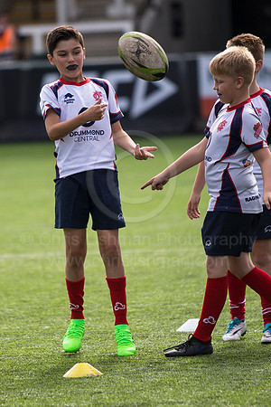 Falcons v Sarries_018_LC_5255