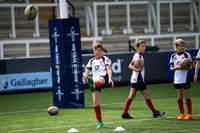 Falcons v Sarries_019_LC_5259