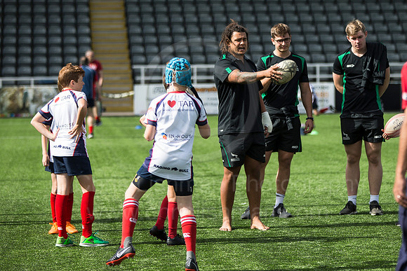 Falcons v Sarries_026_LC_5329