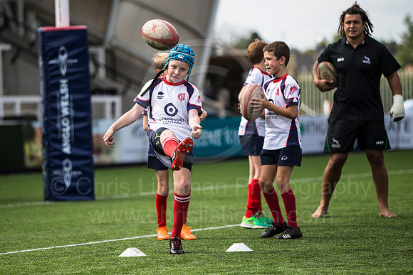 Falcons v Sarries_021_LC_5271