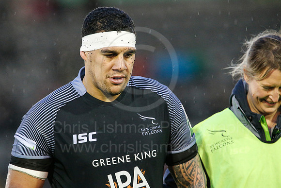 Falcons v Glos_115_LA_1529