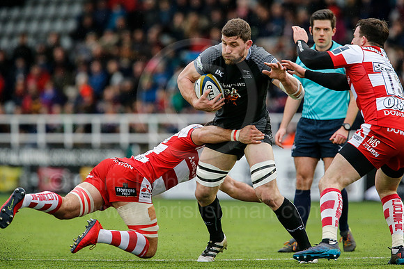 Falcons v Glos_049_LA_0531