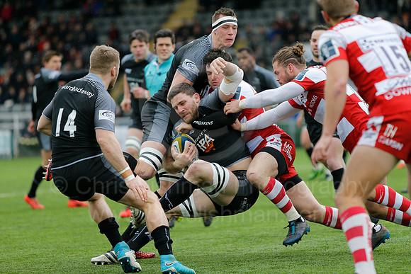 Falcons v Glos_042_LC_7768