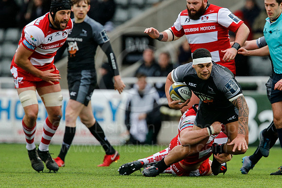 Falcons v Glos_046_LA_0500