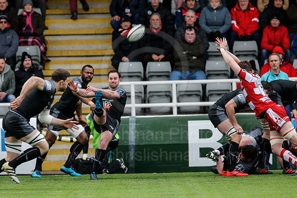 Falcons v Glos_037_LA_0343