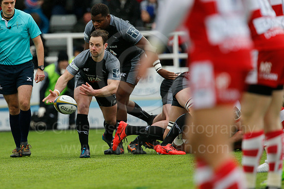 Falcons v Glos_039_LA_0360