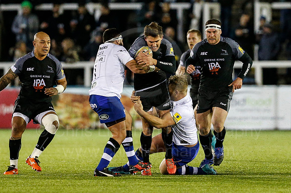 FalcVBath_049_LC_2088