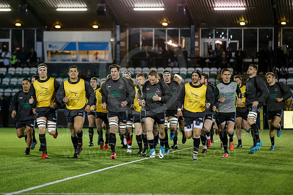 FalcVBath_009_LA_1616