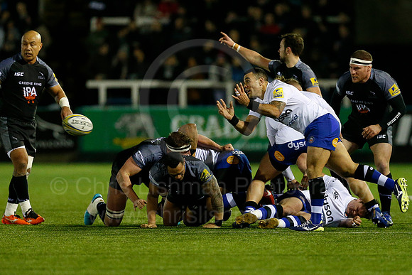FalcVBath_051_LC_2129