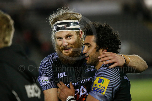 FalcVBath_130_LA_2344