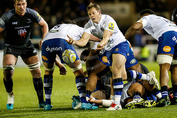 FalcVBath_097_LC_2727