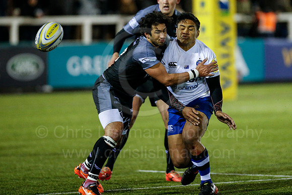 FalcVBath_111_LC_3009