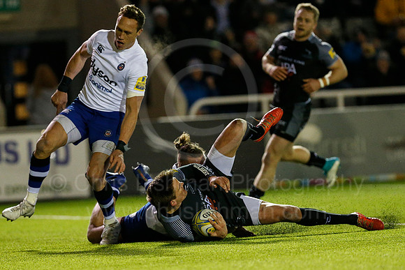 FalcVBath_047_LC_2036