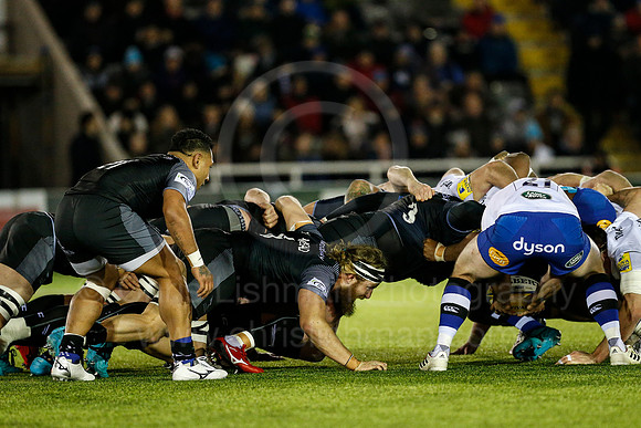FalcVBath_107_LC_2984