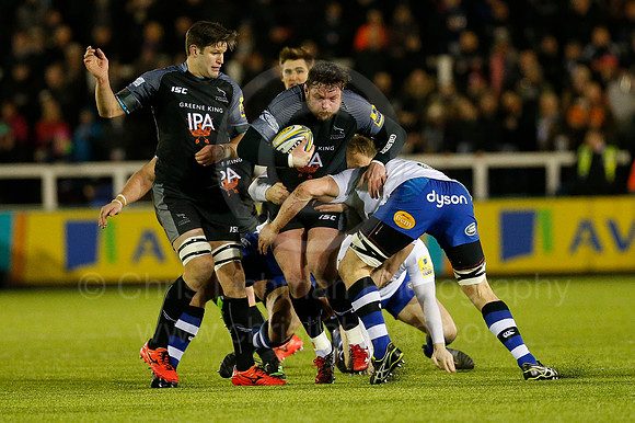 FalcVBath_086_LC_2487