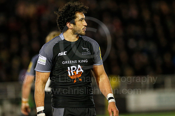 FalcVBath_106_LC_2976