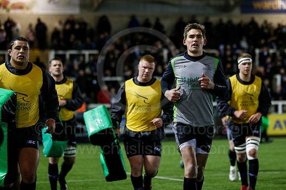 FalcVBath_018_LA_1665