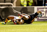 Falcons 22 Wasps 23