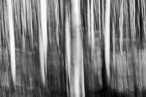 3H9A0427_A_B&W