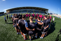 Red Bulls Training_CDL_23-09-2025_CL_1518314