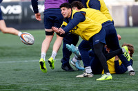 Training _CDL_25-11-2025_CL_1592415