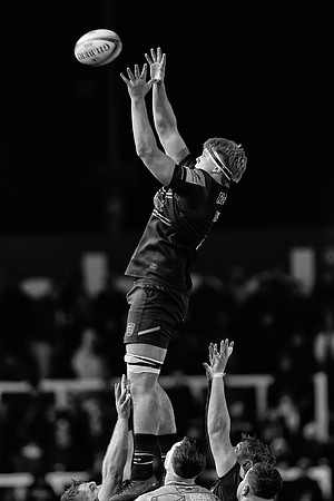 B&W_NEW_GLO_CDL_02-01-20261675735_CL_287