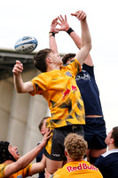 RB Acad v Sale_CDL_26-04-2026_1784531