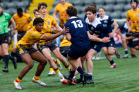 RB Acad v Sale_CDL_26-04-2026_1784669