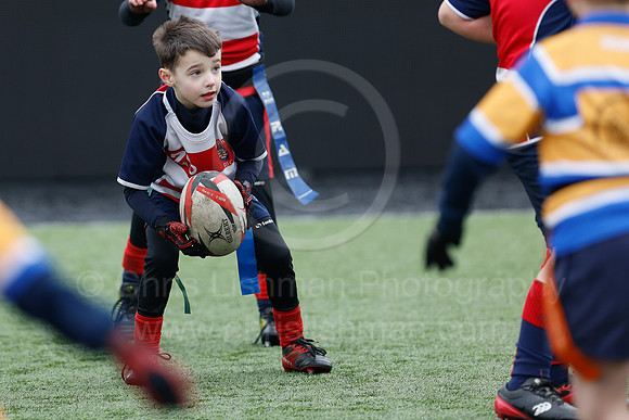 Under 7's & 8's_CDL_19-02-2023_CL_273939