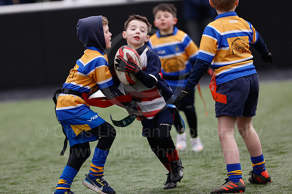 Under 7's & 8's_CDL_19-02-2023_CL_273849