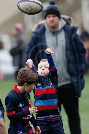 Under 7's & 8's_CDL_19-02-2023_CL_273700