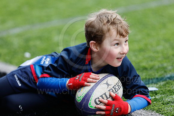 Under 7's & 8's_CDL_19-02-2023_CL_273620