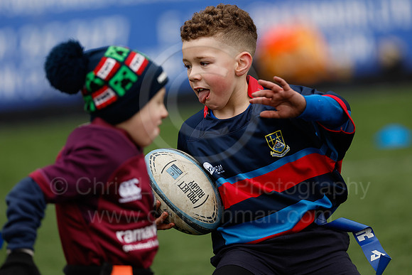 Under 7's & 8's_CDL_19-02-2023_CL_273552